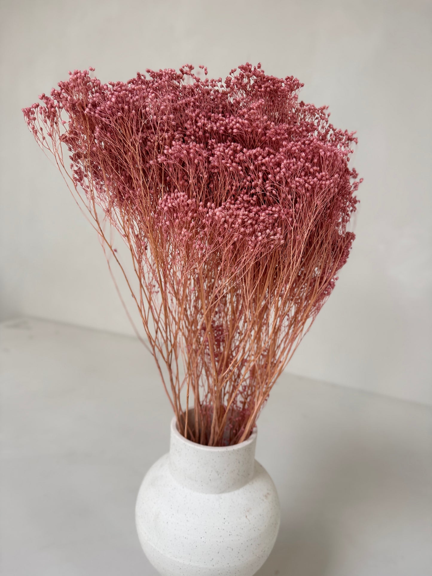 Broom bloom magnolia