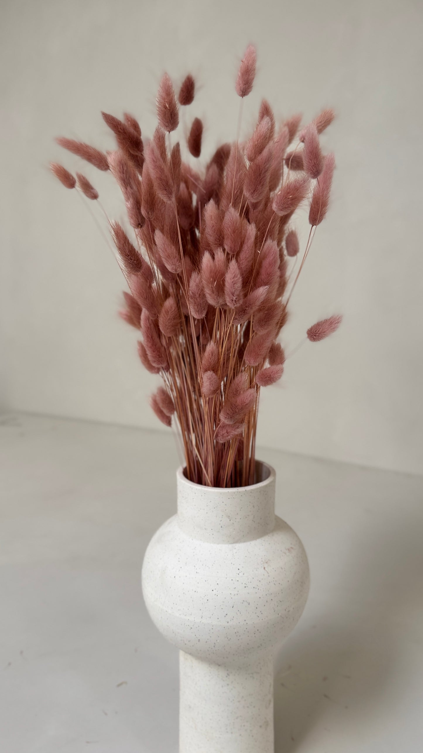Lagurus oudroze