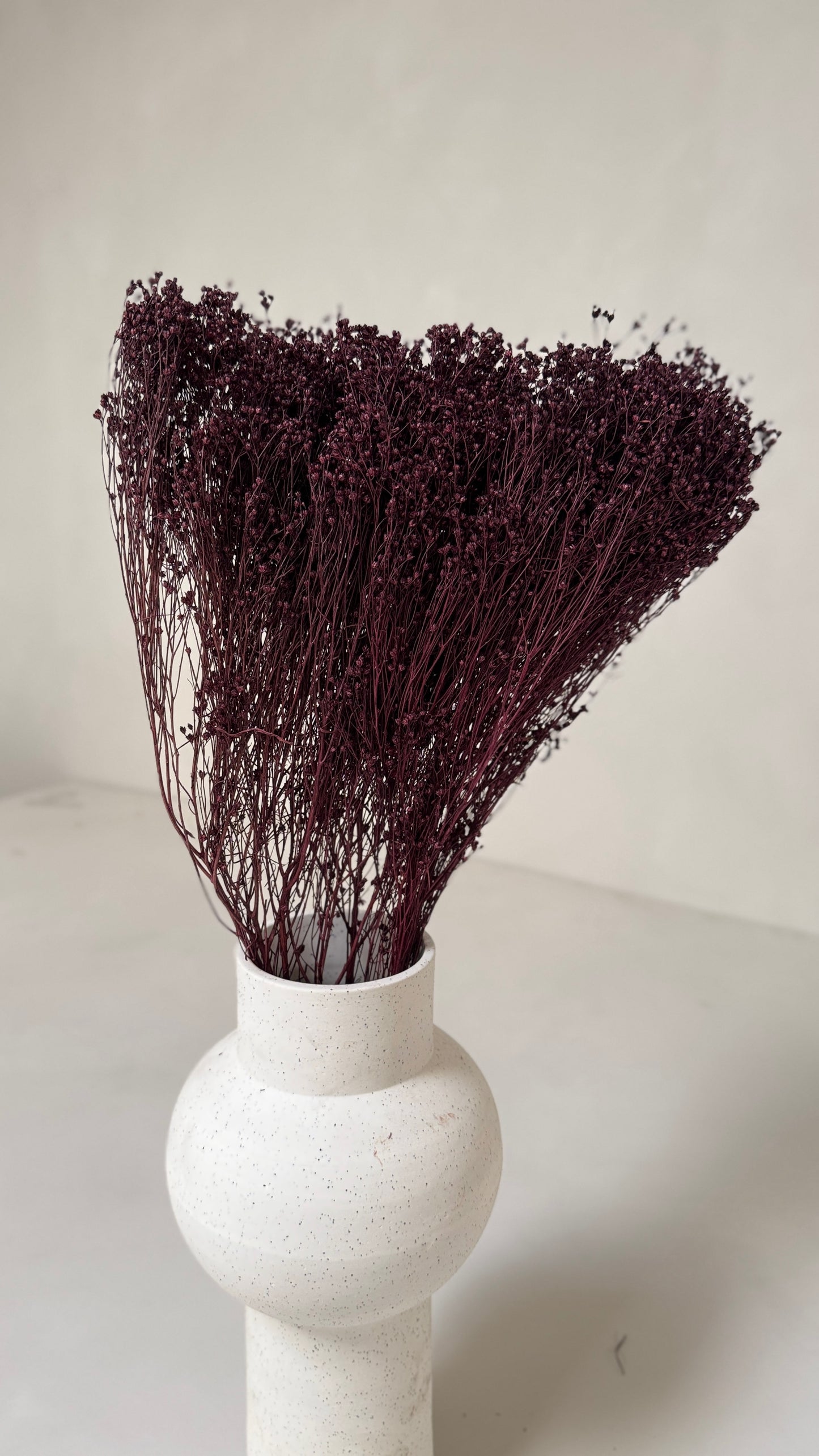 Broom bloom pruim