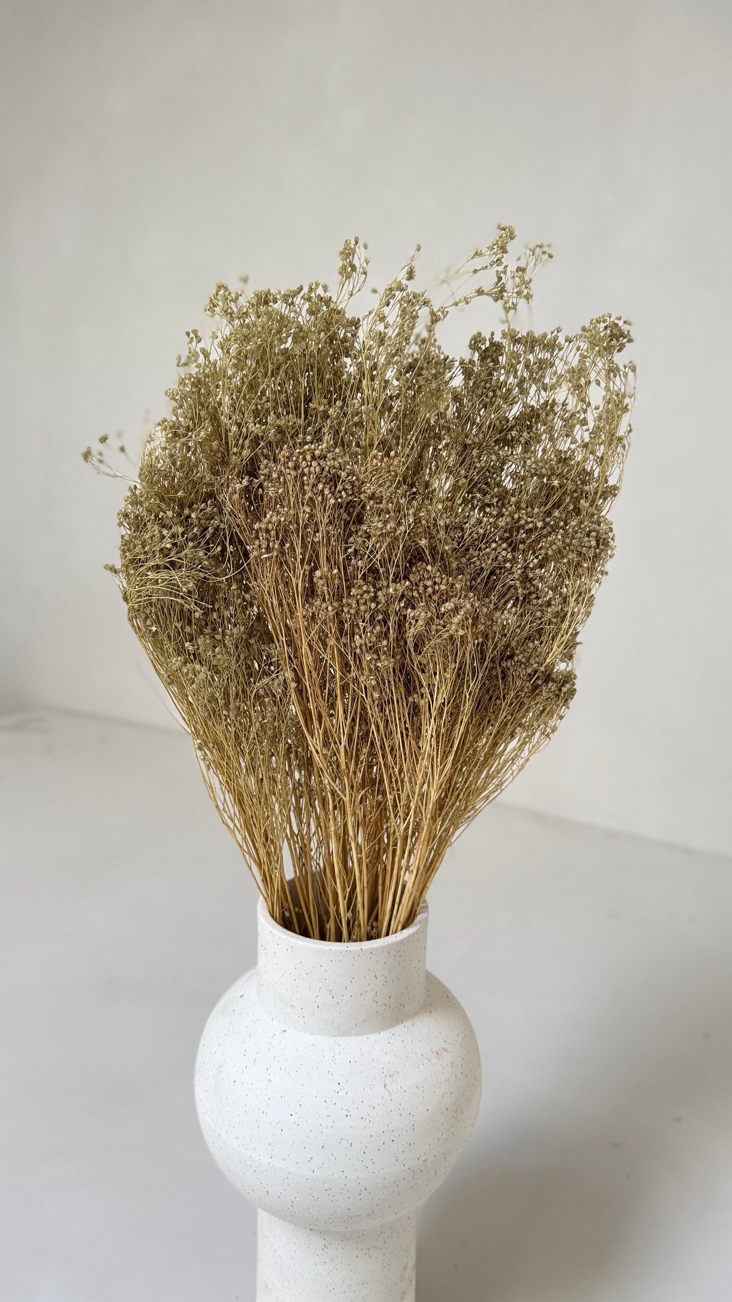 Broom bloom groen