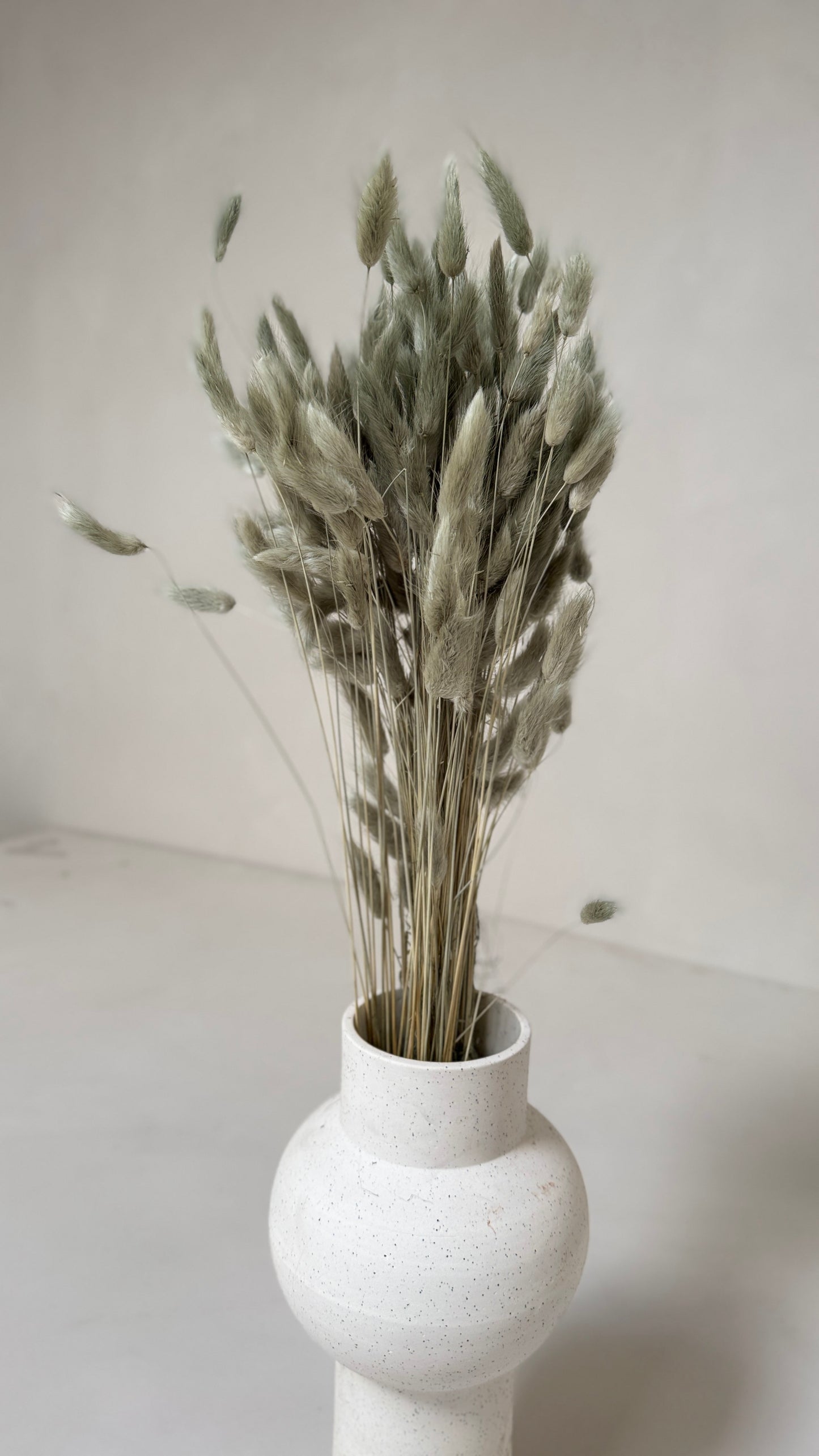 Lagurus saliegroen